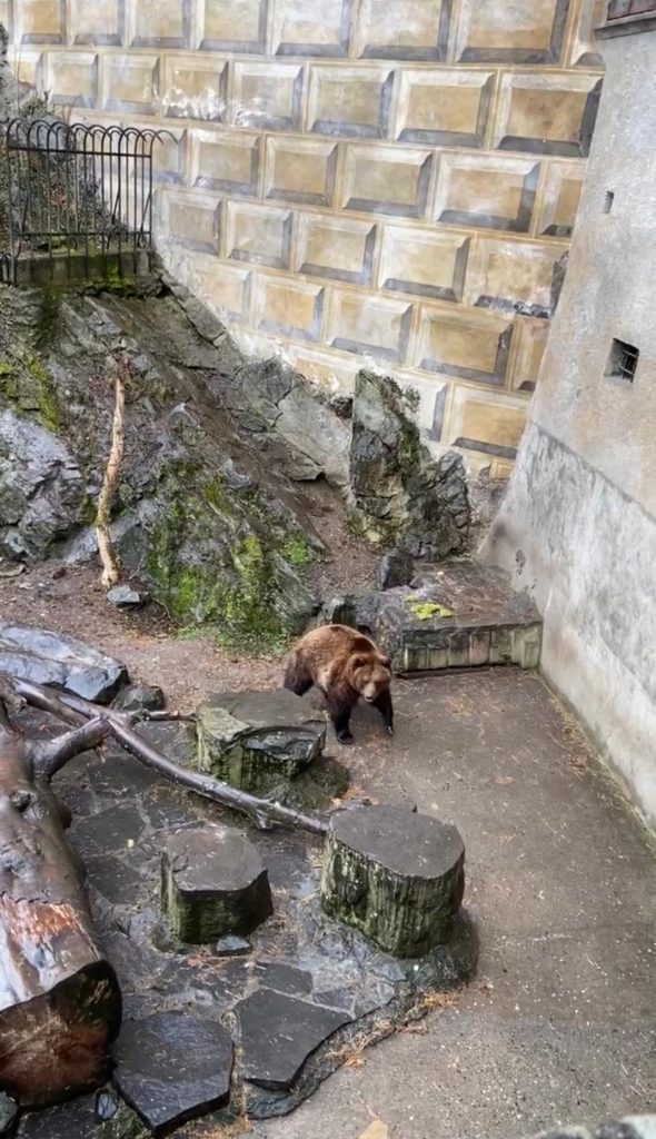 Cesky Krumlov- bear guarding the castle 