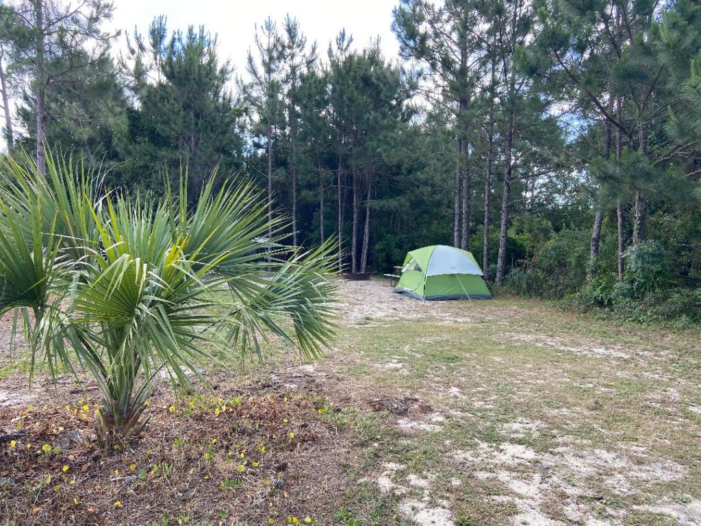 Gulf State Park Camping Map