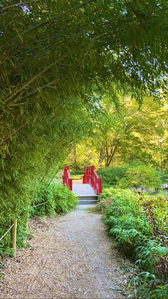 Best Outdoor Activities in Birmingham All the Way Alanna